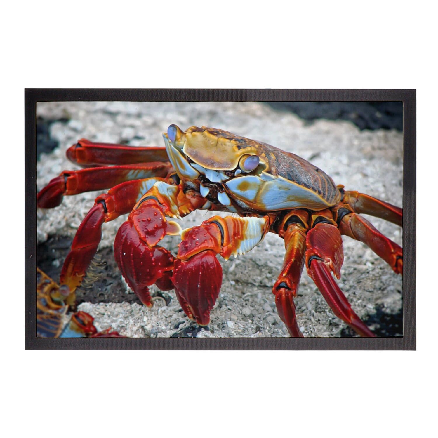 Paillasson crabe rouge récif mer imprimé macro tapis antidérapant 75x50
