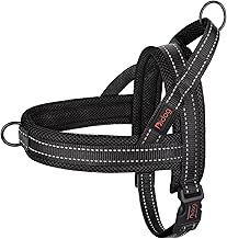 Didog No Pull Dog Harness with Soft Mesh Padded,Reflective & Quick Fit Light Weight Dog Strap Vest Harness,Easy for Walking Training (M:Chest 21-26", Mesh-Black)