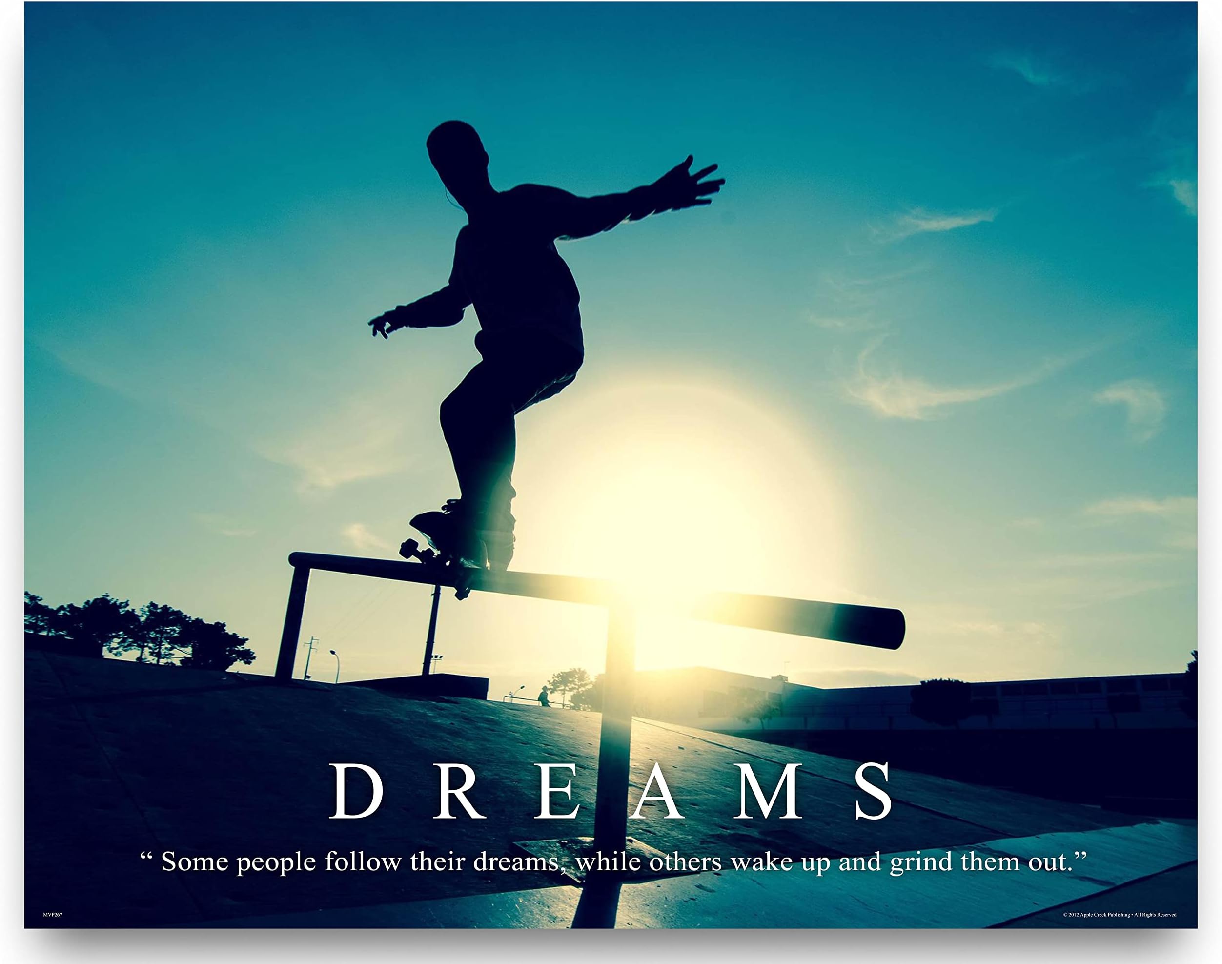 Skateboarding Motivational Poster Art Print 11x14 Shoes Decals Wall Decor Pictures