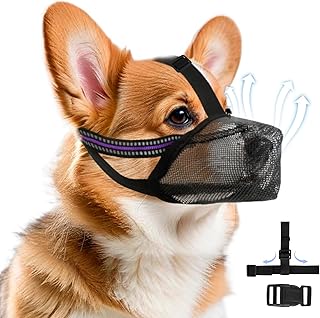 Maulkorb für Hunde Weicher Netzmaulkorb Atmungsaktiver Mesh für Kleine Hunde Reflektierende Einstellbare Hundemaulkorb zum Verhindern Fressen Lecken Bellen Ermöglicht Hecheln und Trinken (S Schwarz) product image