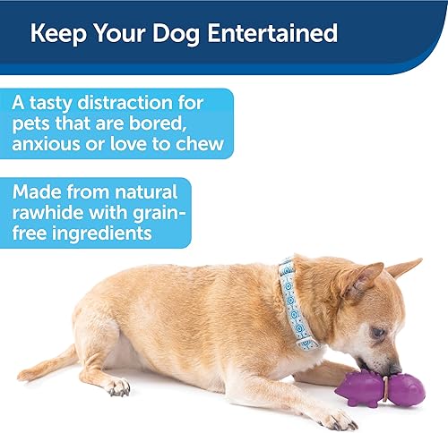 Miniatura 2 de PetSafe Busy Buddy Animal Treat Ring Dog Toy - Juguete masticable para perros - Dinosaurio mediano