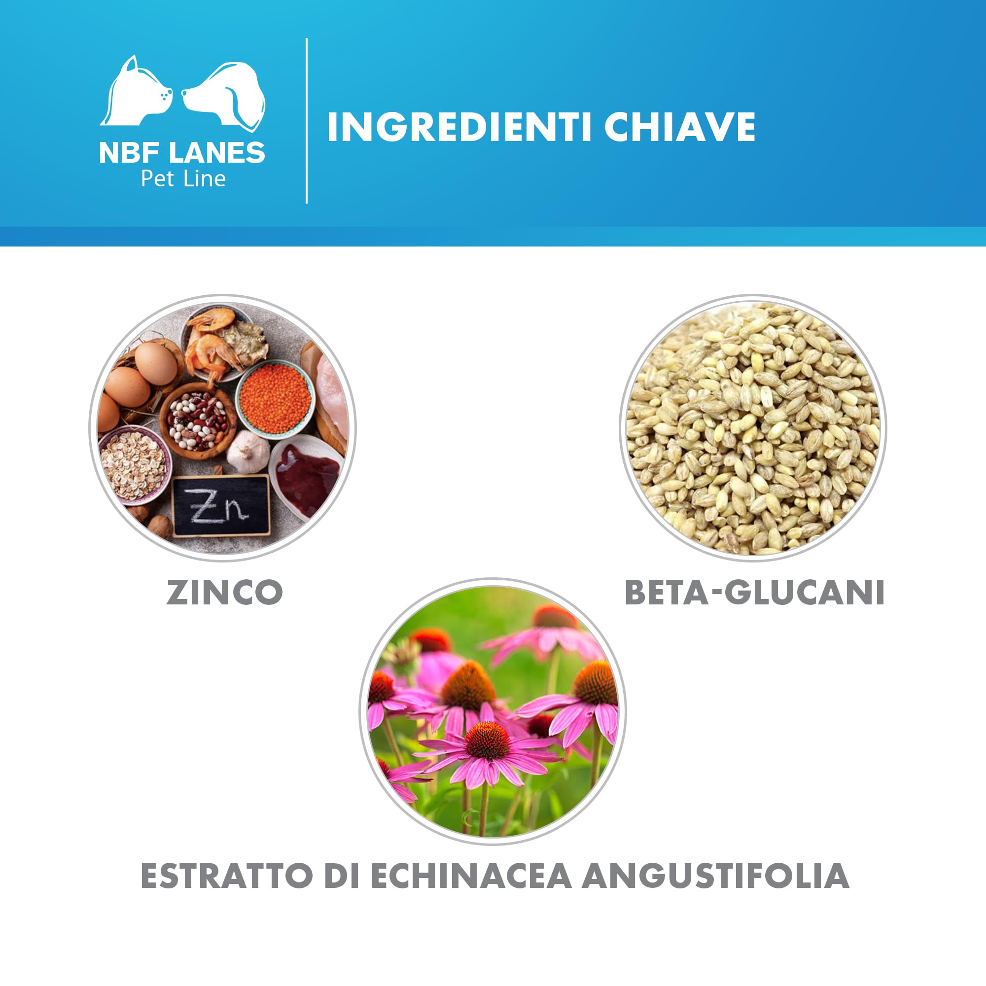 NBF Lanes | Zincogen Pet Immuno Cane, 60 Compresse Appetibili, per il Normale Funzionamento del Sistema Immunitario del Cane