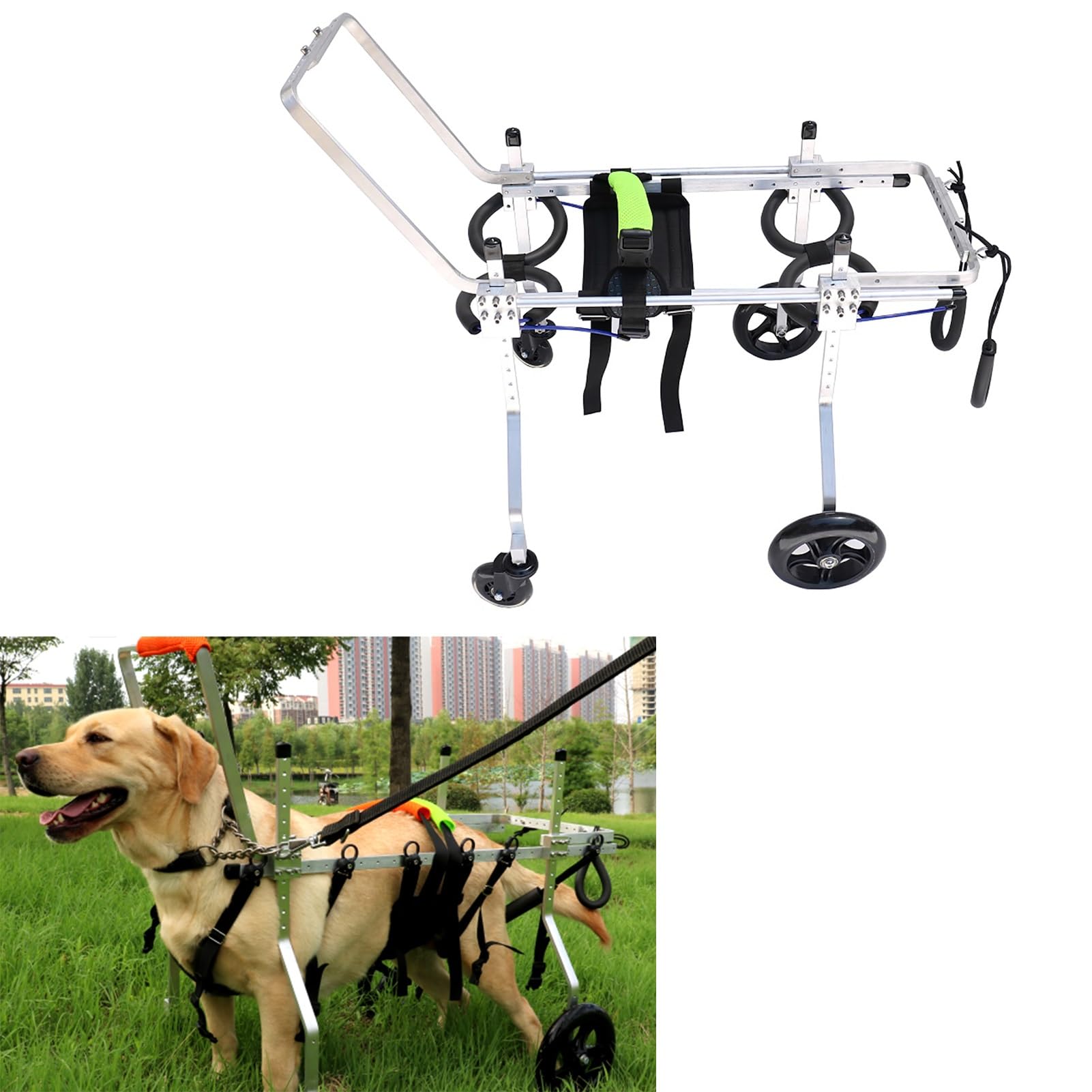 Silla de ruedas para mascotas: diseño ligero de 4 ruedas para rehabilitación