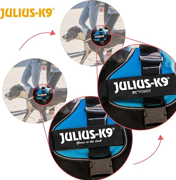Julius-K9 162BR-3 Pettorina K9, Bordeaux - 4