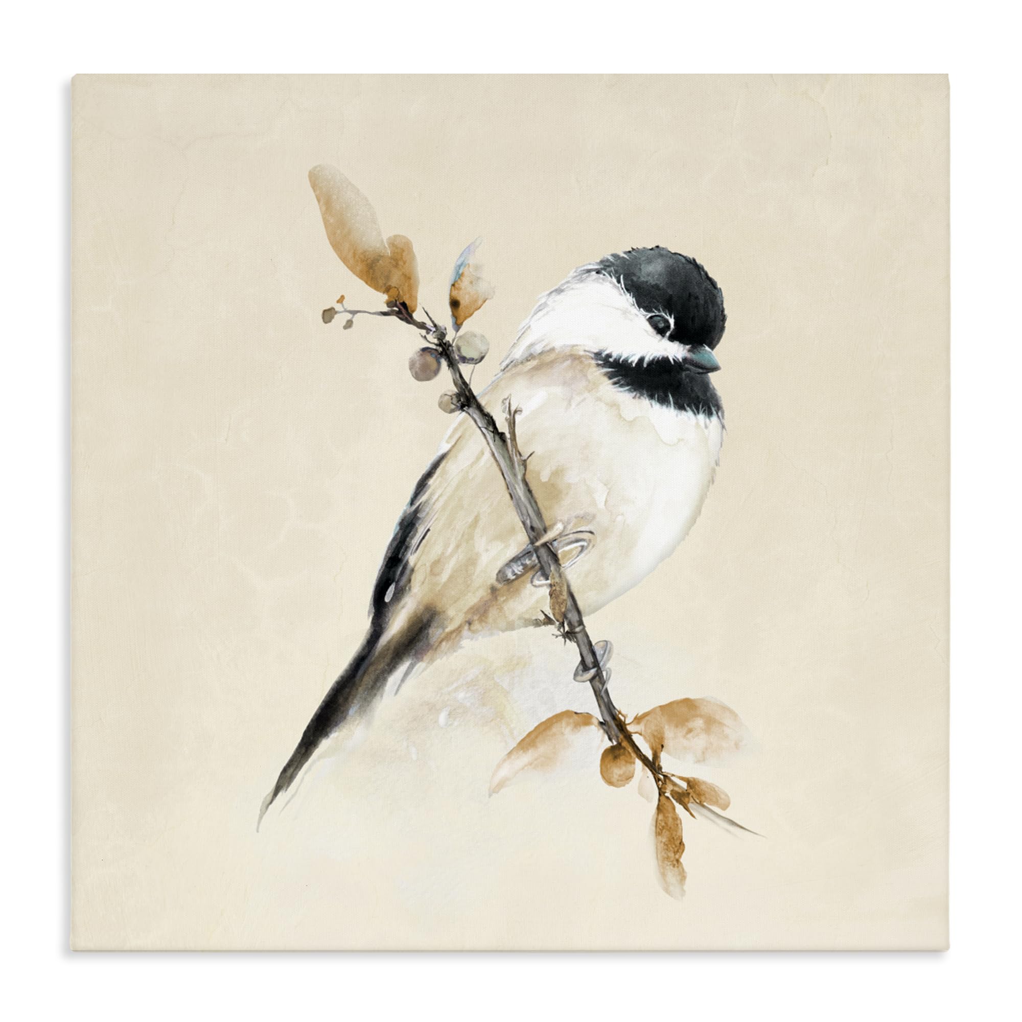 Stupell Industries 'Muted Watercolor Chickadee', Canvas Art, 30 x 30 Inches, Easy to Hang and Sturdy, Made in USA, by Diannart