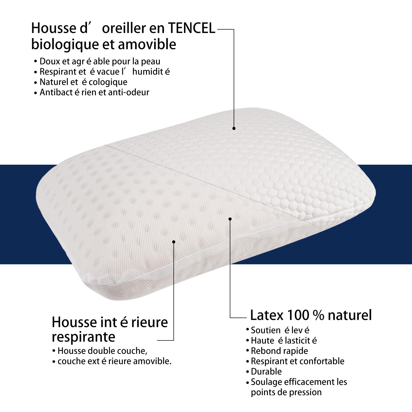 Talatex Oreiller de Voyage et Oreiller de Camping, 100% Latex Naturel Premium, léger et Facile à Transporter, avec Sac de Compression et Housse Amovible Lavable (40 * 30 * 15cm, Doux)