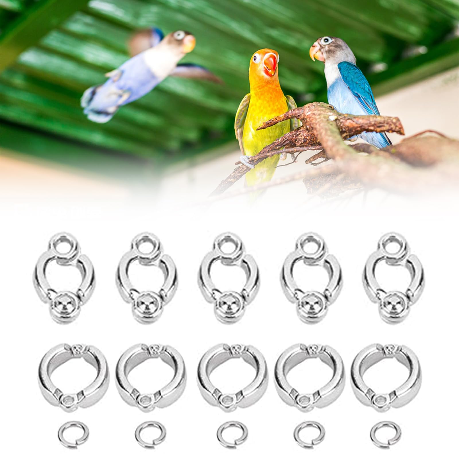 Anillos Para Pata De Pájaro (tamaño No.7) - 10 Piezas De Metal Para Loros Pequeños, Entrenamiento Y Anillado