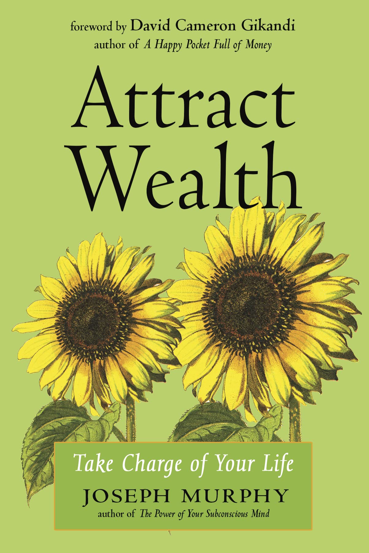 Attract Wealth