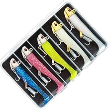 Morisho Jig Head Worm Lure, Luminous Glitter, Fish, Flounder, Sea Bass, Magochi, Blue Fish, Storage Case, 5 Piece Assortment Set