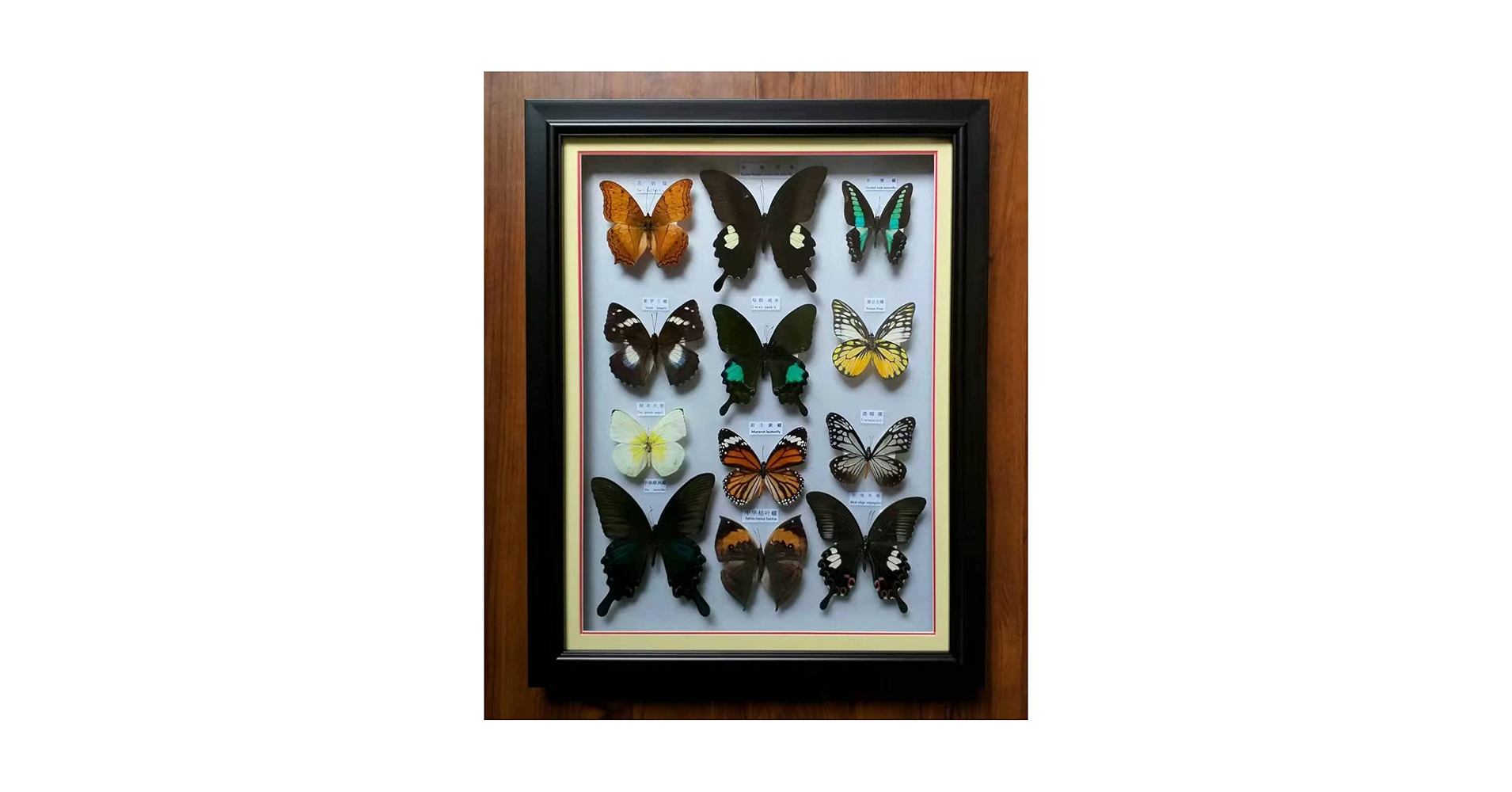 3951 外国切手 SWA  1987年 Erik Holm デザイン 昆虫 The Stumpwork, Goldwork and Surface Embroidery Beetle