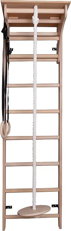 Swedish Ladder 100