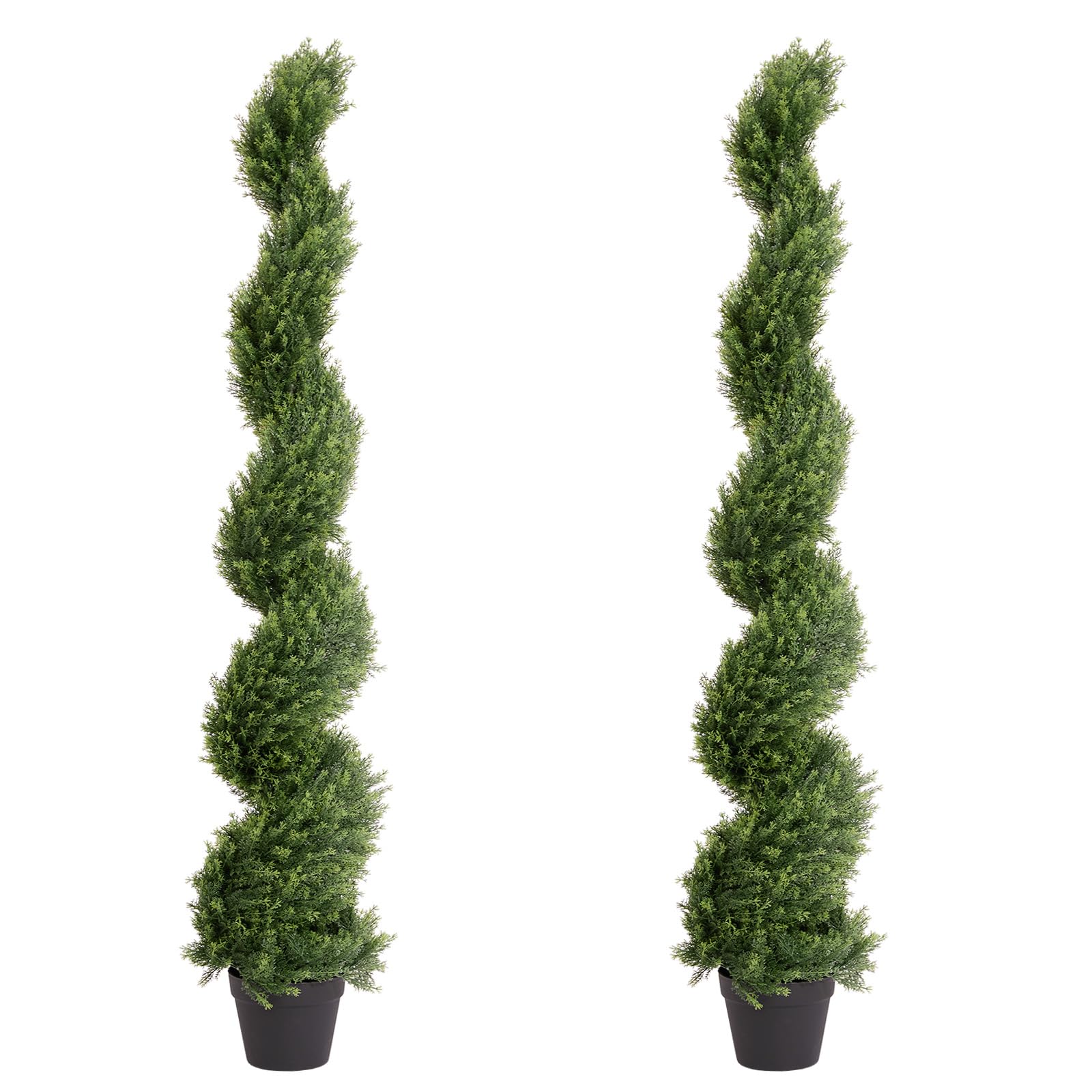THE BLOOM TIMES 5ft Cedar Spiral Topiary