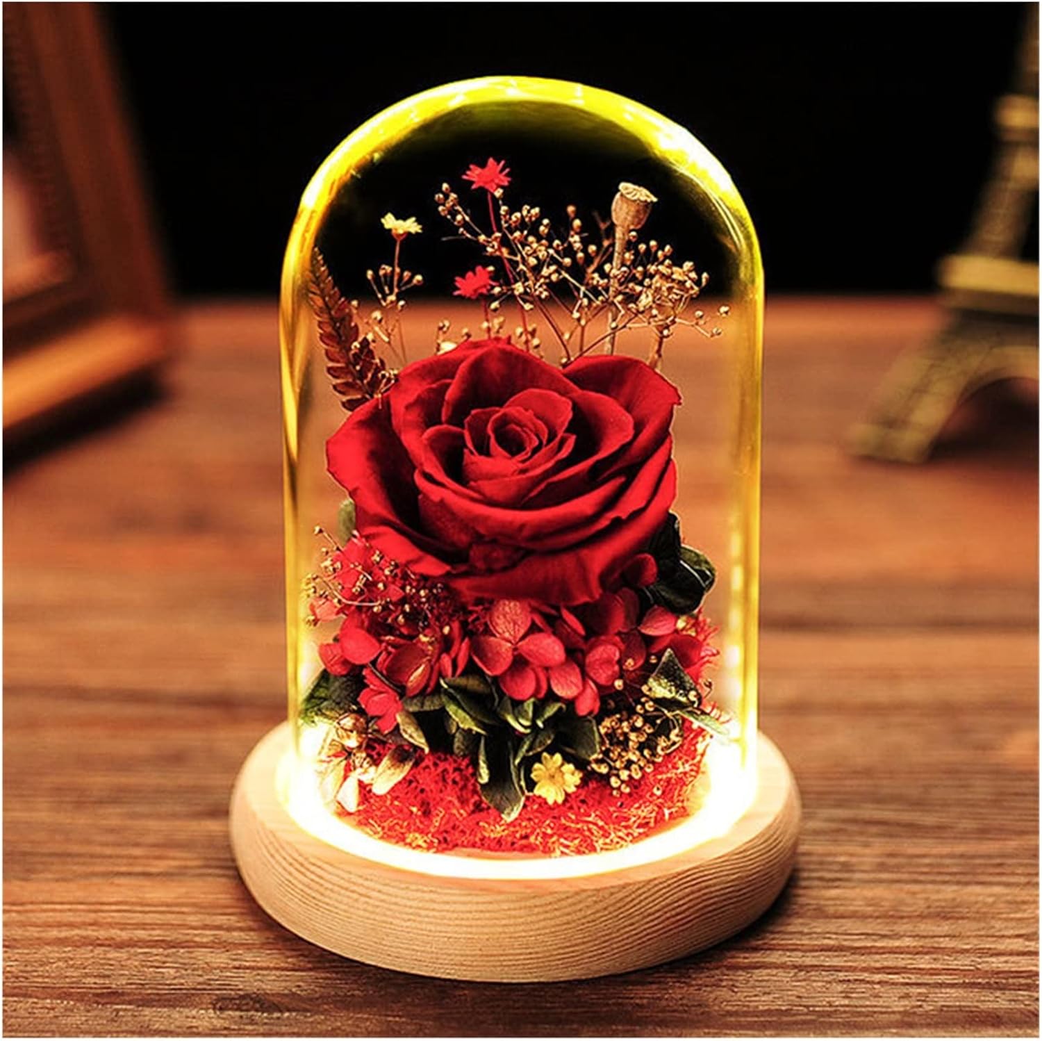 Preserved Real Rose Glass Dome Eternal Flower Beauty and The Beast Rose Love Handmade Gift for Mom Women Wife Girlfriend Valentine’s Day (Color : Red)
