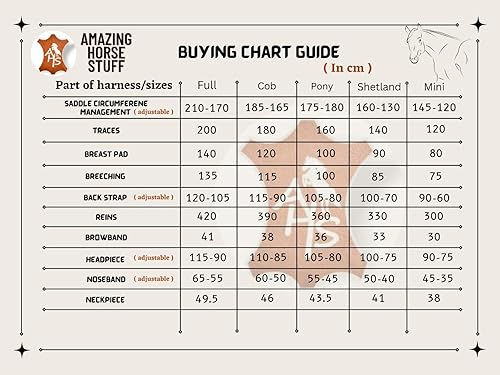 Miniatura 6 de Arnés de conducción de caballo de nailon  tachuelas cromadas talladas en silla de montar y brida  completo  mazorca  pony  shetland  mini  rojo y