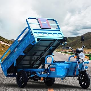 Electric Tricycle Cargo Van,Electric Tricycle,Home Delivery Vehicle,Agricultural Tricycle,Elderly Vehicle,Warehouse Van,1000W Differential Motor,500KG Loader Hopper