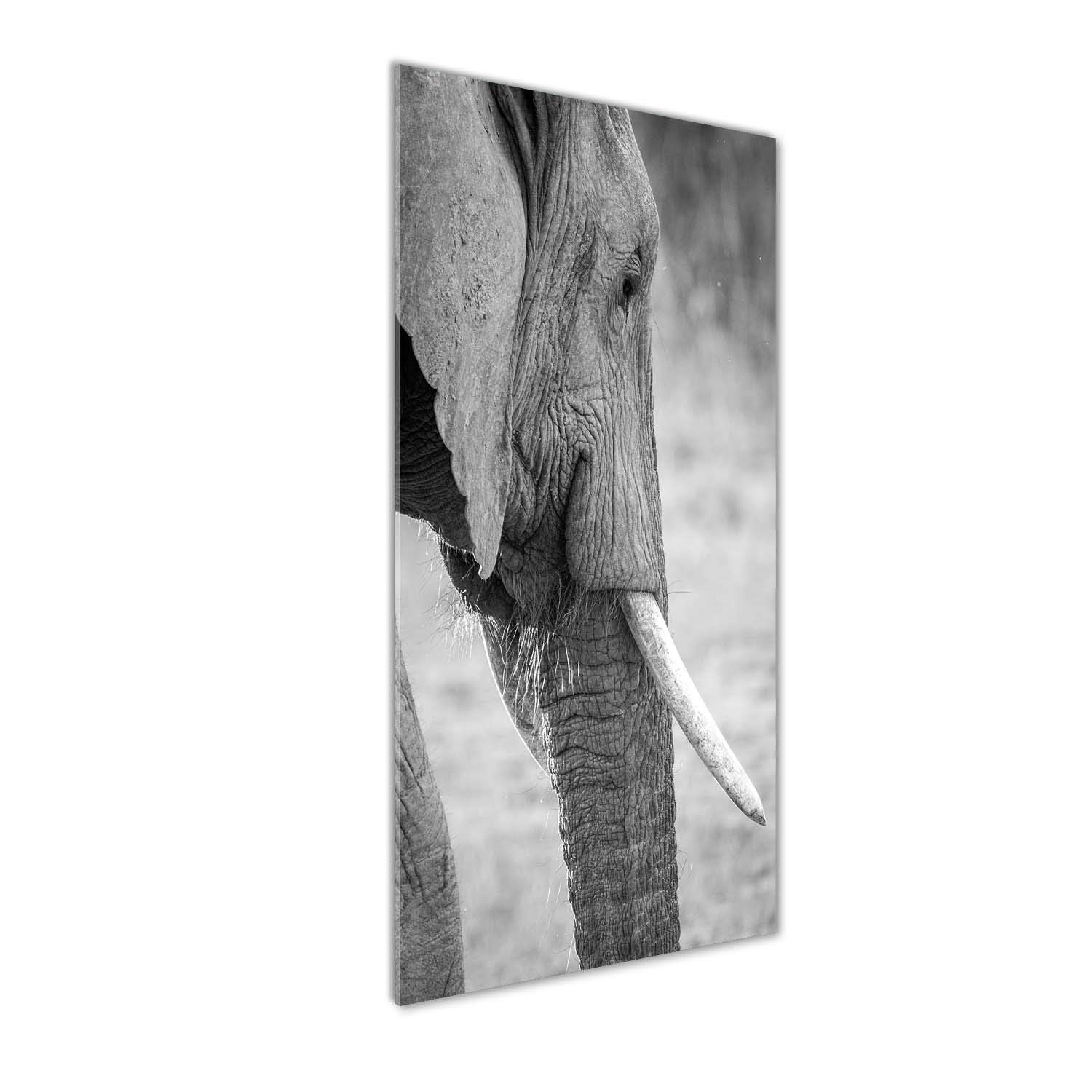 Tableaux pour la mur éléphant pour créer une ambiance zen et moderne