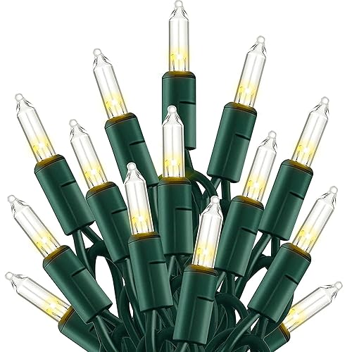 TW SHINE Warm White Christmas Lights Outdoor, 20FT 100 Count