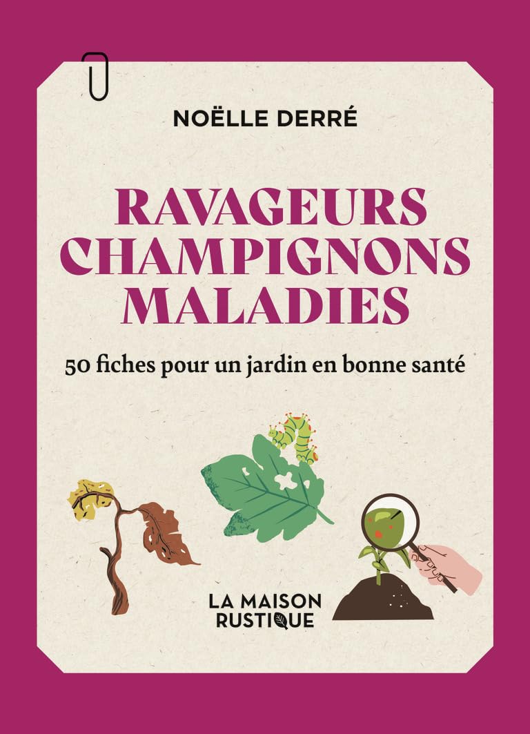 Ravageurs, champignons, maladies: 50 fiches pour un jardin en bonne santé-Ma boîte à fiches