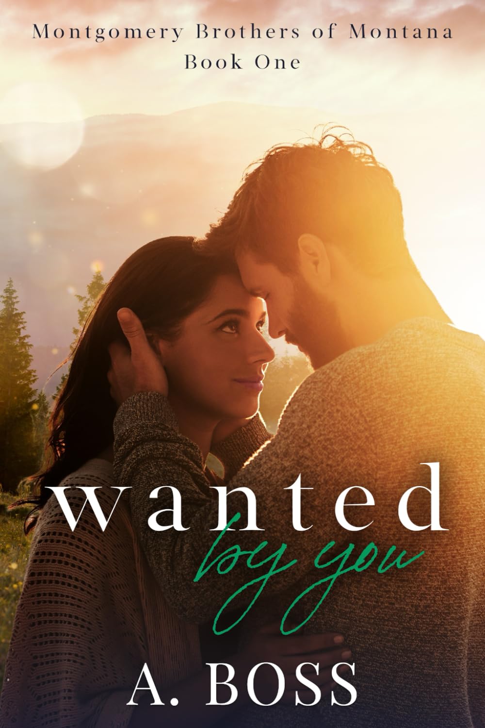 Wanted by You (Montgomery Brothers of Montana)