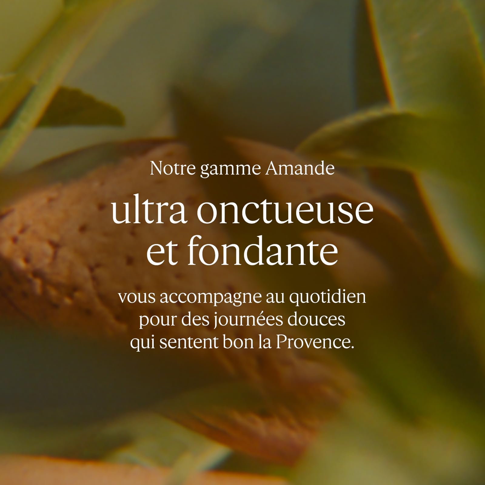 L'OCCITANE - Pâte Délice Gommage Corps Amande - 200 ml - Exfolie et nourrit - Fabriqué en France