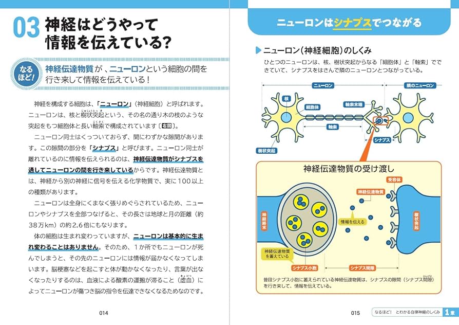 やさしい自律神経生理学 命を支える仕組み やさしい自律神経