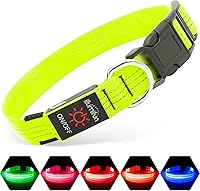 Vista 8 de Illumifun Collar LED para perro, collar con luz recargable por USB que brilla en la oscuridad, luz de seguridad ajustable para mascotas para tus Azul