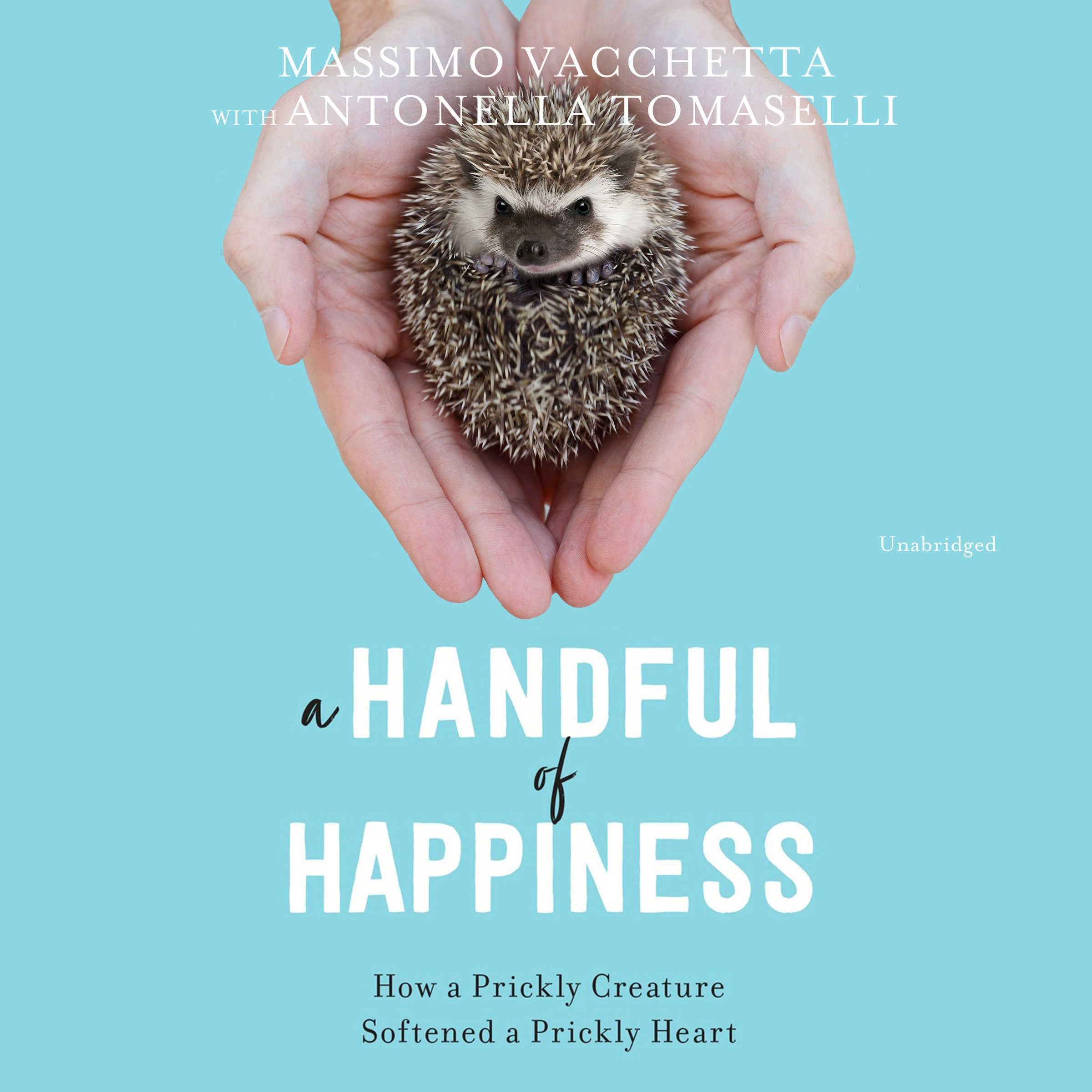 Cover art for A Handful of Happiness