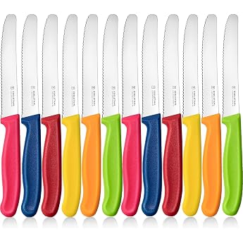 Breakfast Knives Serrated Edge Colourful Knives Tomato Knives Pack of 12 Rust-proof blade 11 cm serrated table knife sharp knife cutlery plastic handle bread knife cutting knife kitchen