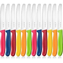 Breakfast Knife 12 Pieces Stainless Steel Table Knife High-Quality Tomato Knife with Serrated Edge Colourful Bread Knife Sharp Knife Set for Snack Plastic Handle Knife Set