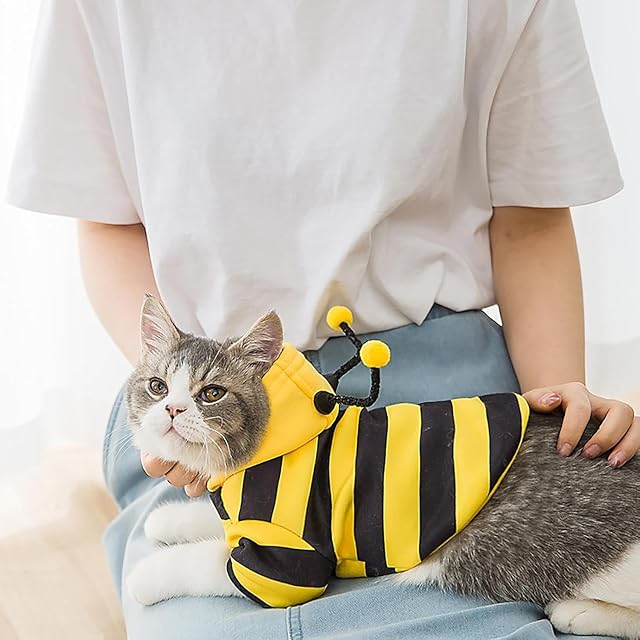 Foto 3 de 7 de Disfraces de Abeja para Perro, Sudaderas con Capucha para Halloween, Disfraz de Abeja para Mascotas
