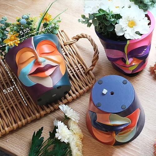 Miniatura 10 de GUGUGO Macetas de cara con drenaje, macetas abstractas de jardinería para plantas de interior, maceta pequeña divertida única para suculentas para