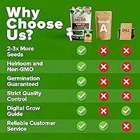 Vista 6 de Bóveda de 10 semillas de hierbas culinarias - Semillas criollas y sin transgénicos – Más de 3000 semillas para plantar en jardín de hierbas exterior