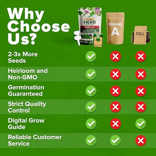 Miniatura 6 de Bóveda de 10 semillas de hierbas culinarias - Semillas criollas y sin transgénicos – Más de 3000 semillas para plantar en jardín de hierbas exterior