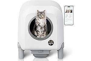 Self-Cleaning Litter Box: Revolutionize Cat Litter Management