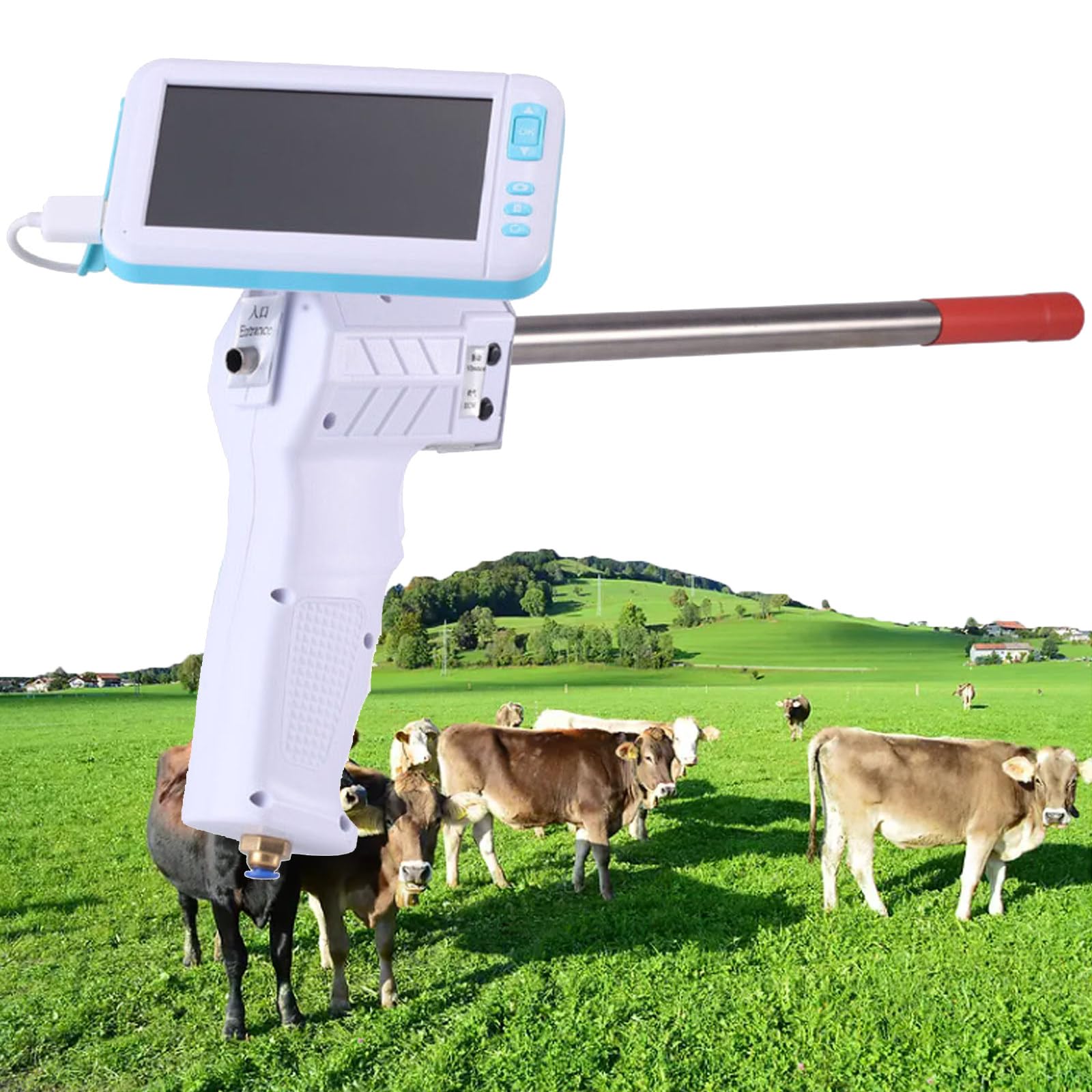 ylpddmm Visual Dog Artificial Insemination Gun Kit, Dog Veterinary Breeding Kit horse