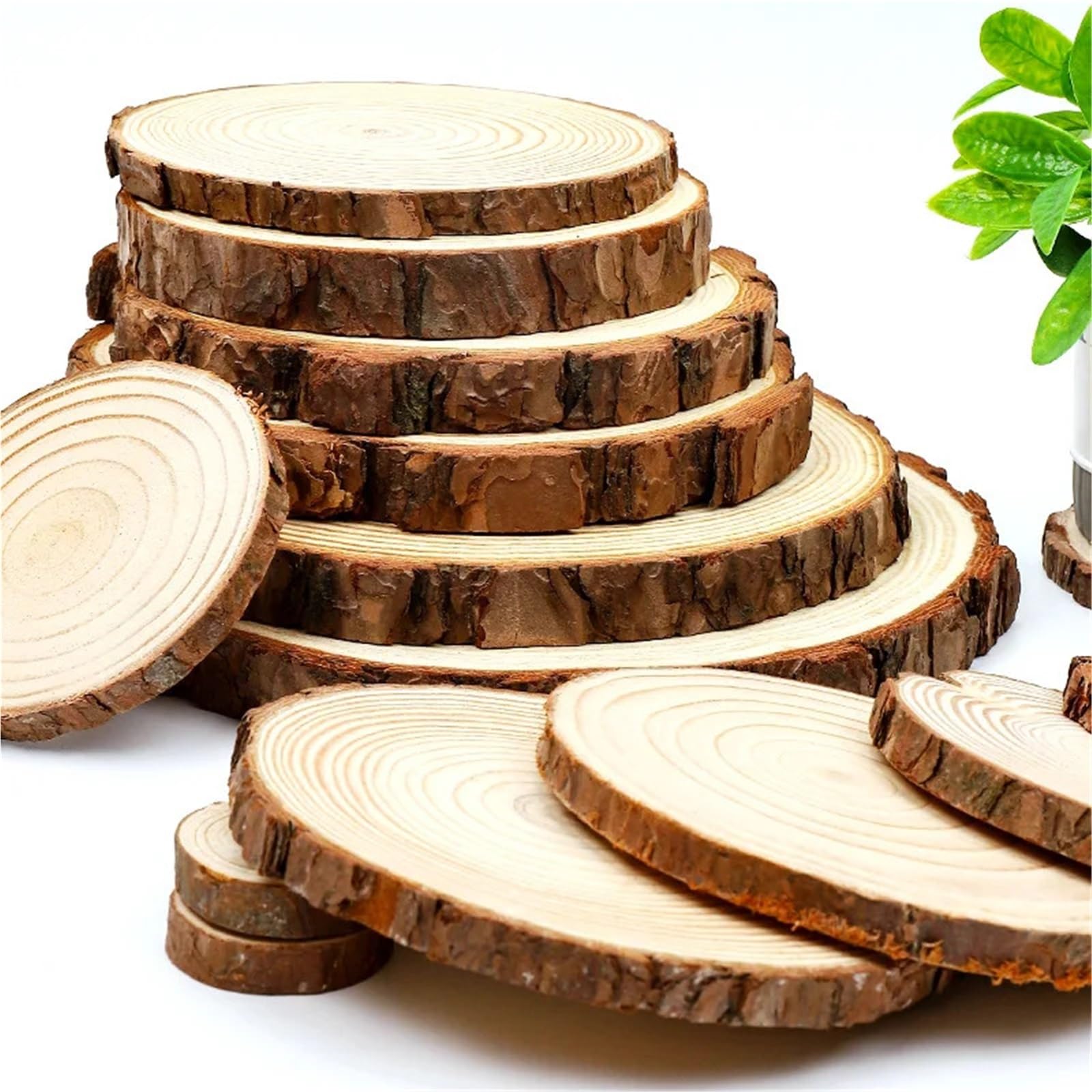 Rodajas redondas de madera de pino Natural gruesas de 8-35cm, círculos sin terminar con discos de troncos de corteza de árbol, manualidades DIY, pintura for fiesta de Navidad Rodajas De Madera(1pcs 30