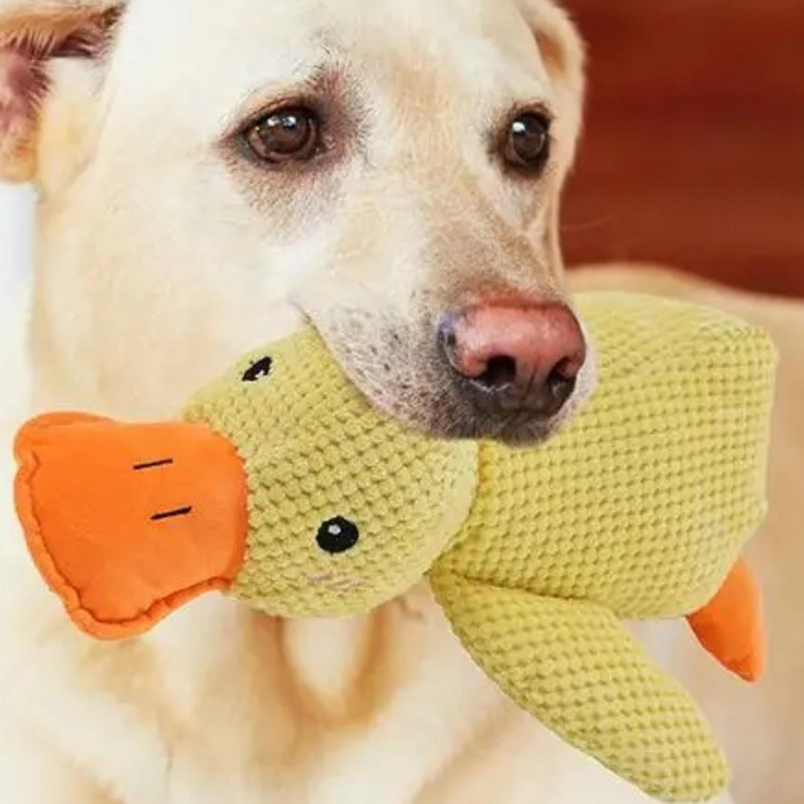 Rustgevend eendje voor honden - Vermindert angst en