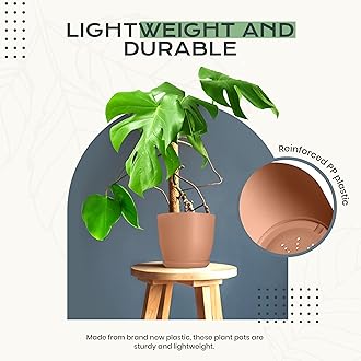 Utopia Home - Plant Pots Indoor with Drainage - 7/6.6/6/5.3/4.8 Inches Home Decor Flower Pots for Indoor Planter - Pack of 10 Plastic Planters for Indoor Plants, Cactus, Succulents Pot - Terracotta