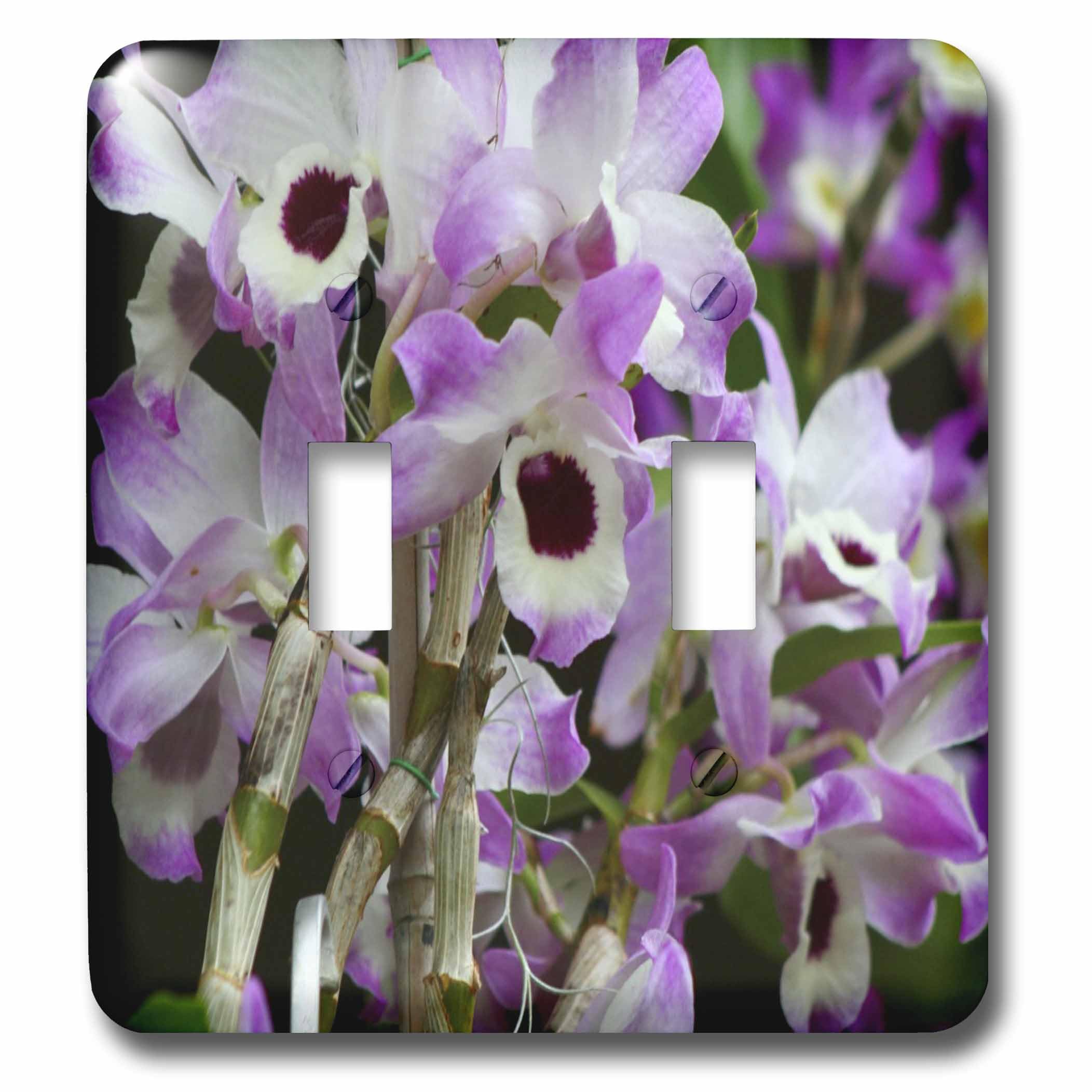 Interrupteur à bascule double Orchid Rr 3dRose lsp_9029_2 plaque murale décorative