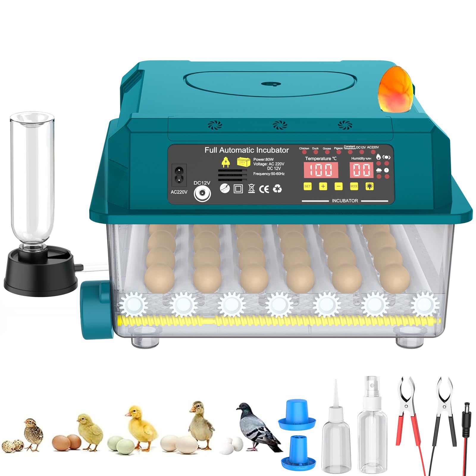 Incubadora automática de huevos de 36 huevos,Incubadora automática de huevos con volteo automático de huevos, control de temperatura y humedad, incubadoras para Eclosión de Pollo, Cana (36 huevos)