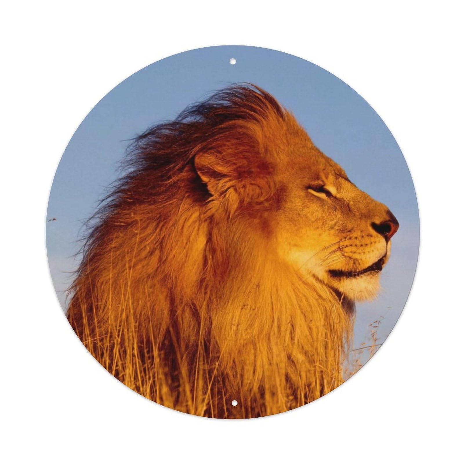 Cwbufd Vintage Style African Lion Closeup Wildlife Serengeti Landscape Golden Mane Sunlight Nature Photography Vintage Metal Tin Sign Plaque Wall Decor For Cafe, Club Bar, Office, Garden Metal Poster 8X8inch