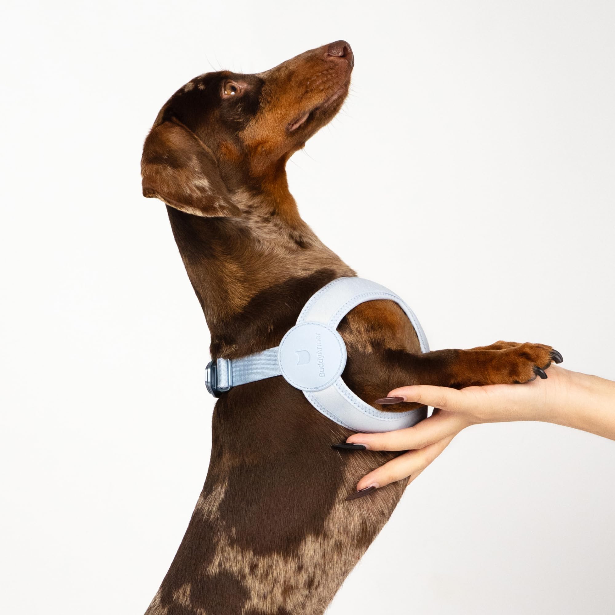 Harnais ultra confortable, réglable et doux, avec fermeture à boucle en alliage, léger et extensible pour chien de petite taille, pour la promenade et le dressage (noir minuit, taille L, 48