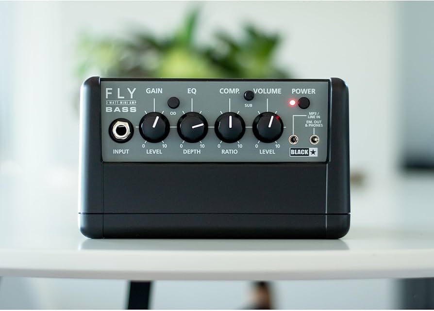 Amazon.com: Blackstar Spector FLY3 Bass Mini Amp for Spector