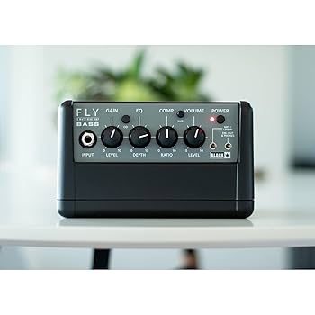 Amazon.com: Blackstar Spector FLY3 Bass Mini Amp for Spector