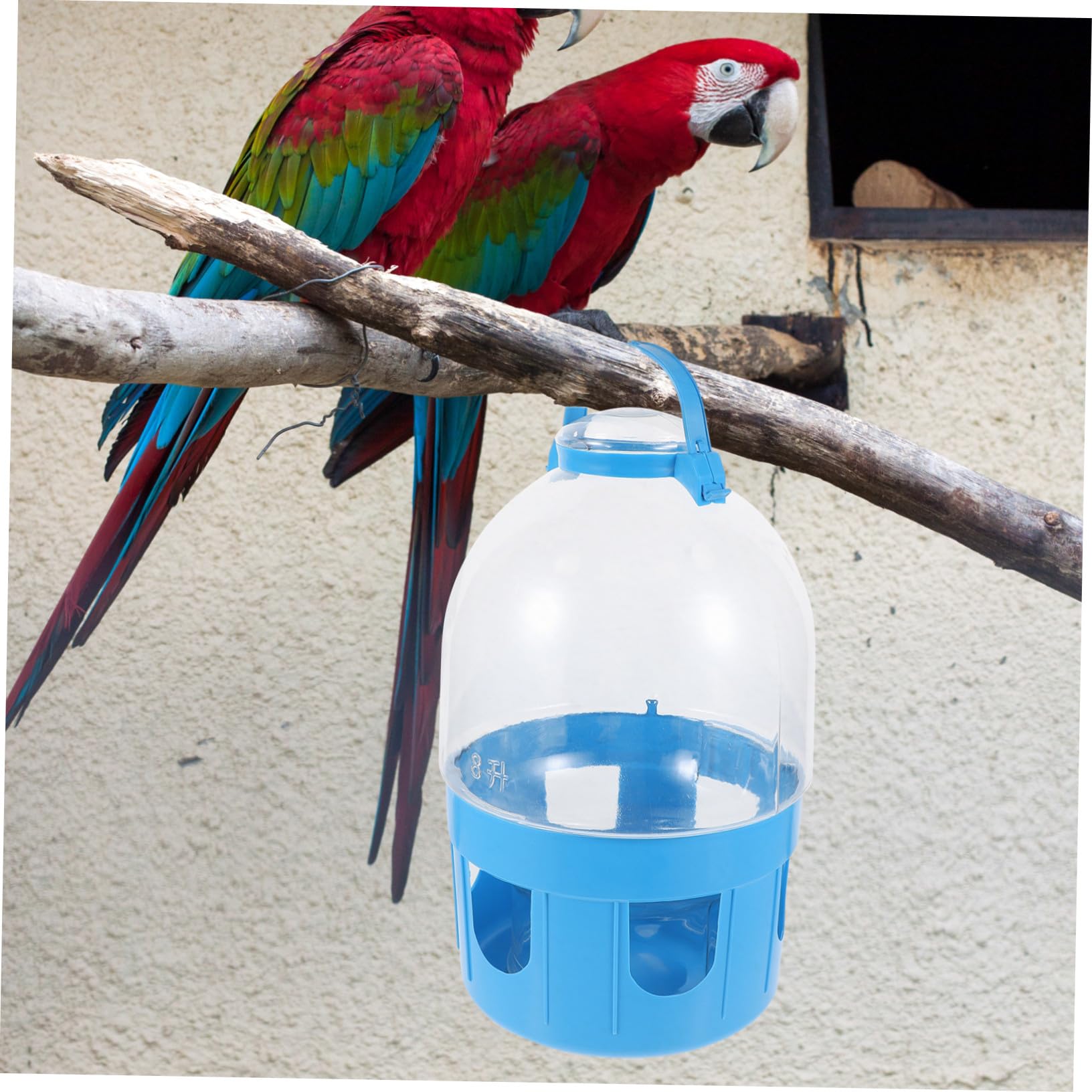 TOYANDONA Abbeveratoio per Piccioni, Mangiatoia per Uccelli in PVC, Capacità Grande, Facile da Pulire, Per Domestico e Decorazione