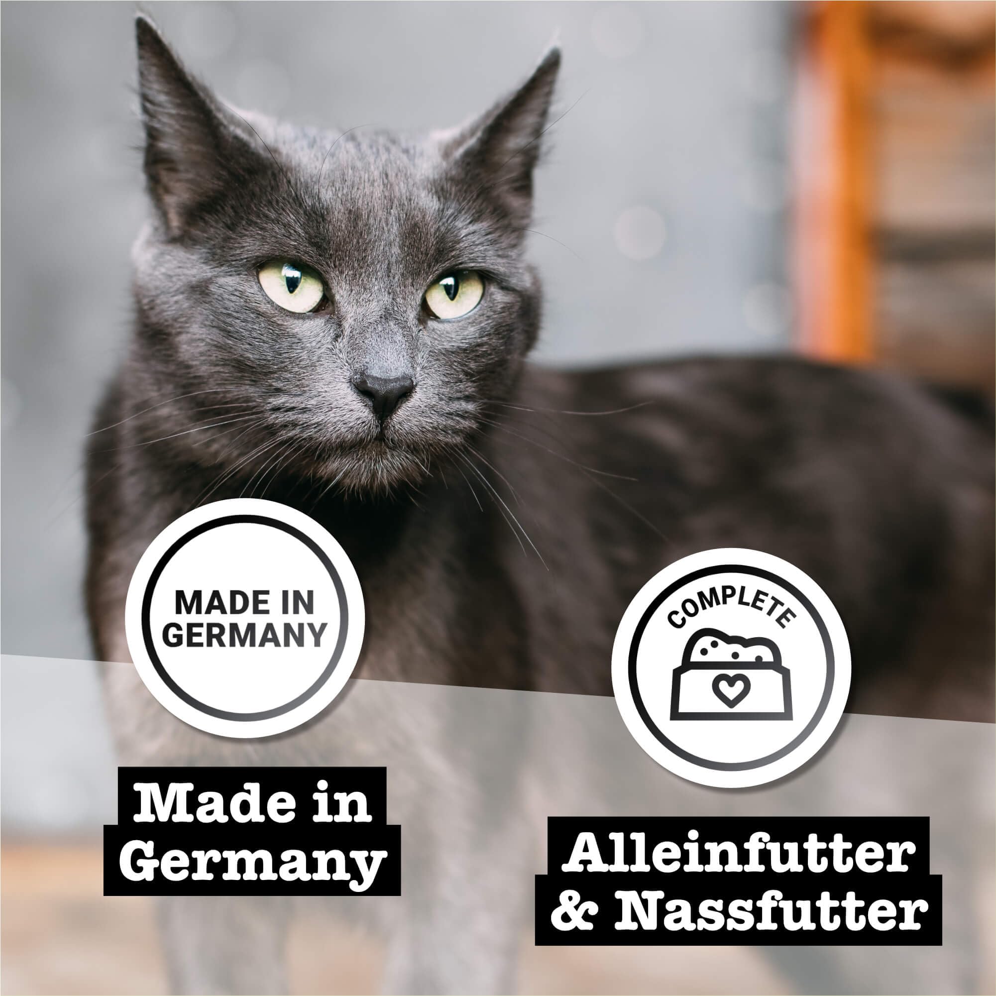 catz finefood Purrrr Collection Comida húmeda para Gatos XXL, Paquete de Comida húmeda Gourmet para tu Gato, sin azúcar ni Cereales, sin Gluten y monoproteína con Alto Porcentaje de Carne (24 Bolsas