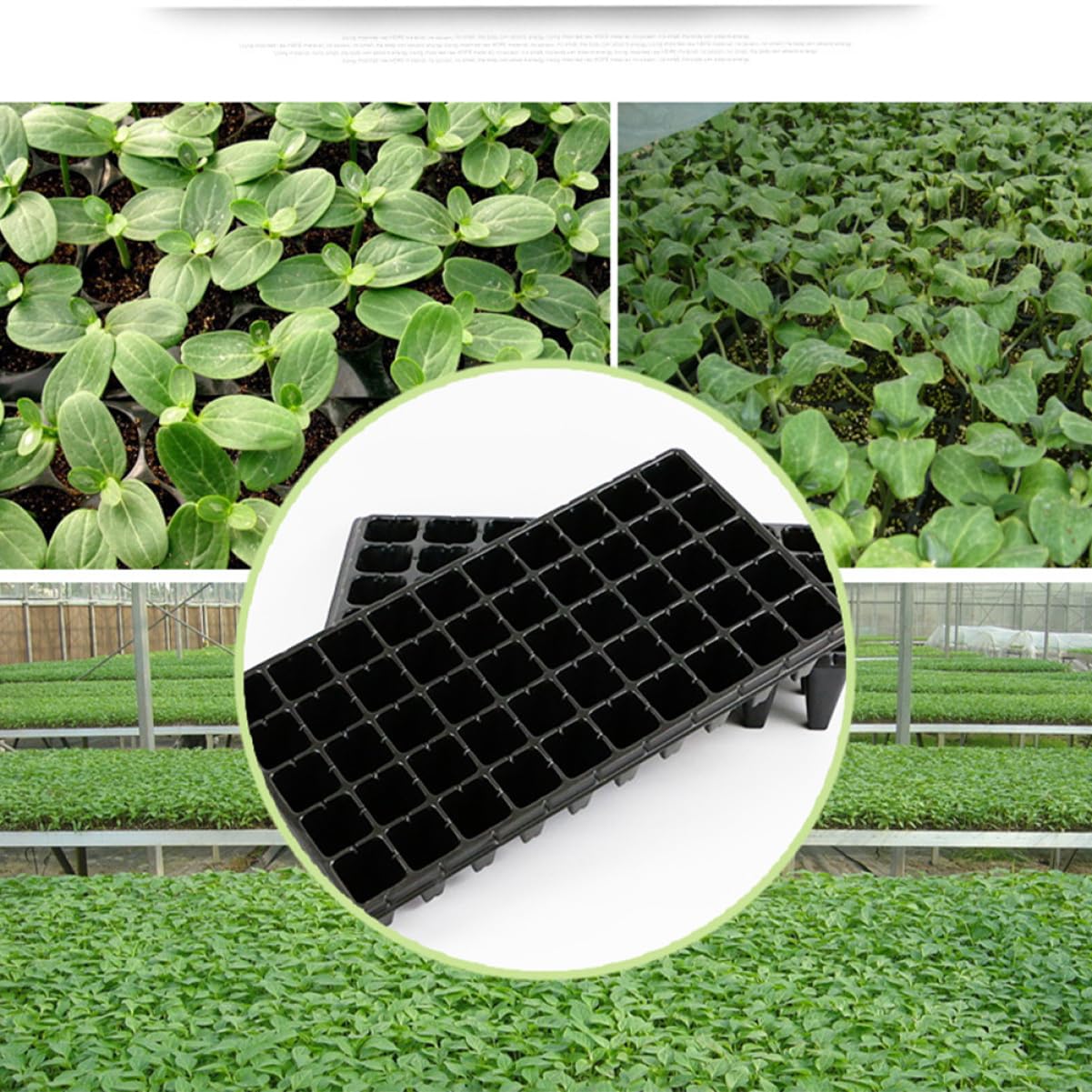 Plateau de Culture en PVC Noir 50 Cellules, Lot de 5 pour Semis