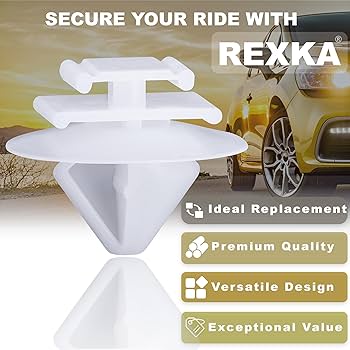 Amazon.com: Rexka 30pcs Rear Door Body Side Molding Clip