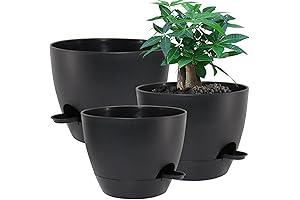 Octagonal Large Self Watering Planters for Indoor/Outdoor