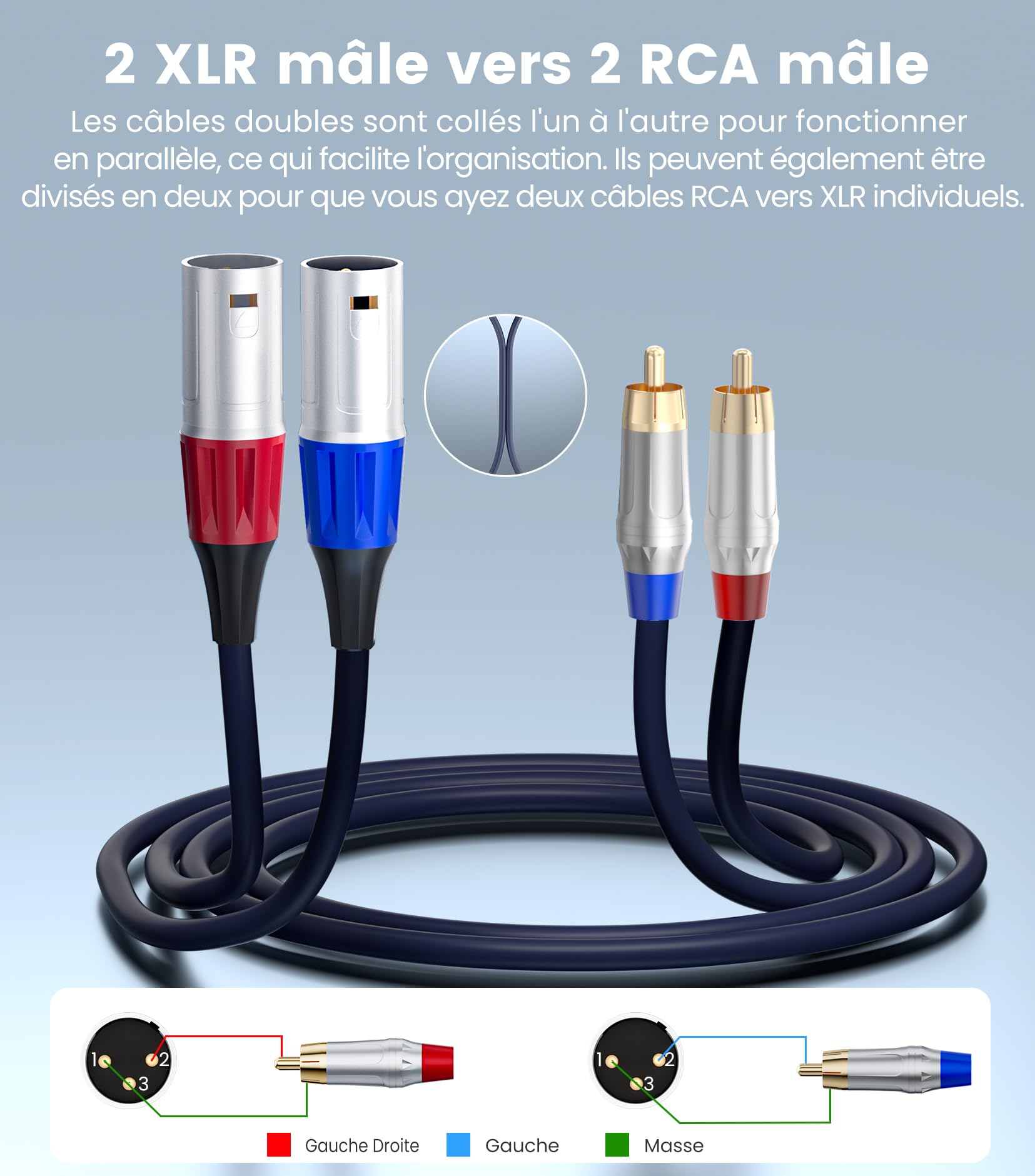 Tisino Câble double RCA vers XLR, 2 RCA vers 2 XLR mâles HiFi stéréo connexion microphone câble câble de chemin - 1 m